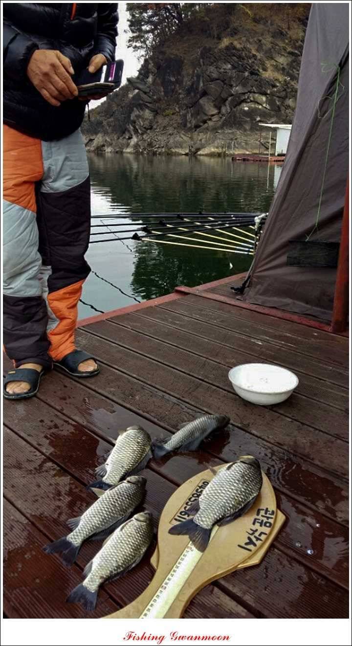 짱가네 사짜돌감실리곡병호 월척 (조황조행기 - 특파원조황)
