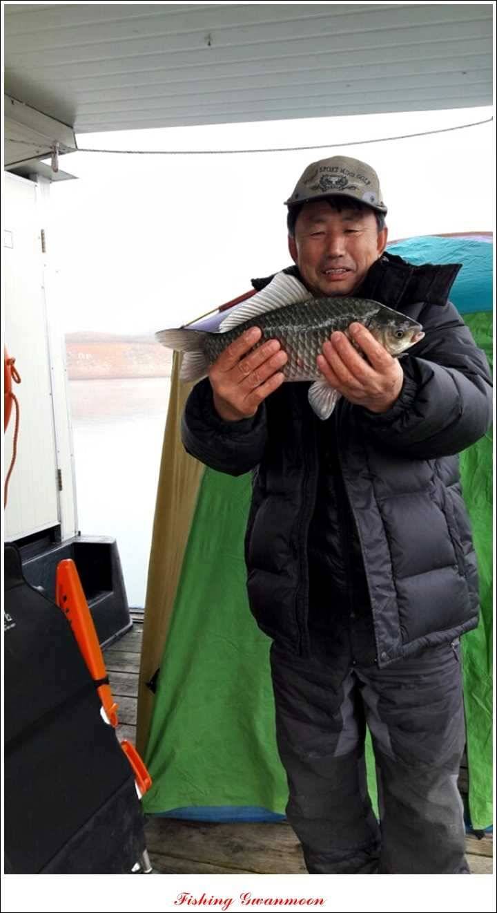 신매제일짱가네 조황 (조황조행기 - 특파원조황)
