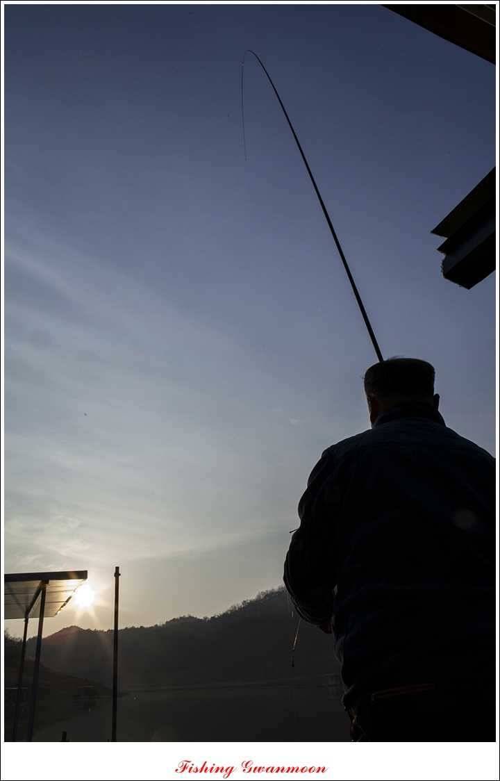 신매 385 cm실리곡 월척 (조황조행기 - 특파원조황)