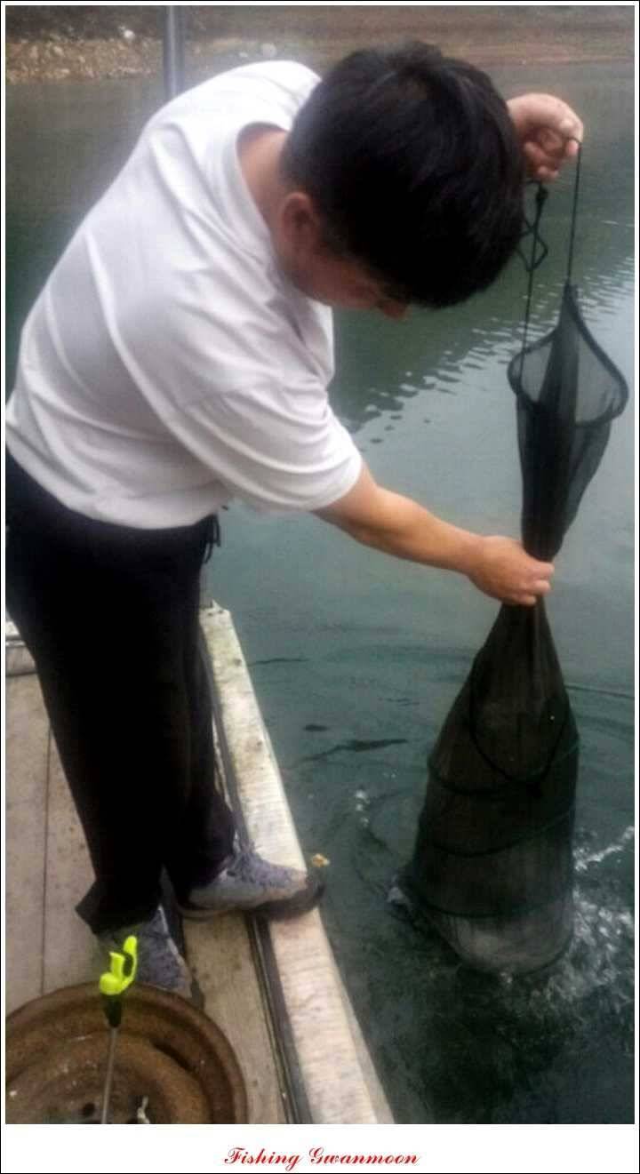 돌감 사짜병호 마릿수 월척실리곡짱가네 월척 조황 (조황조행기 - 특파원조황)