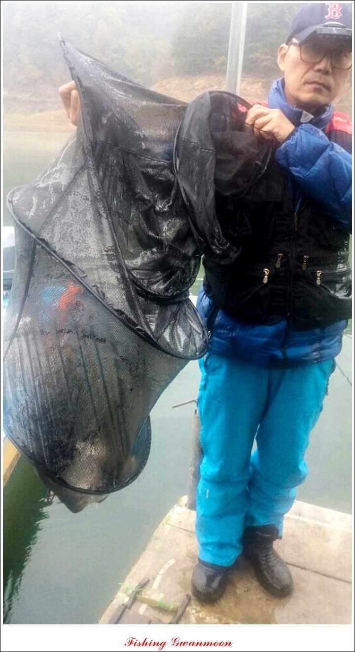 돌감 사짜병호 마릿수 월척실리곡짱가네 월척 조황 (조황조행기 - 특파원조황)