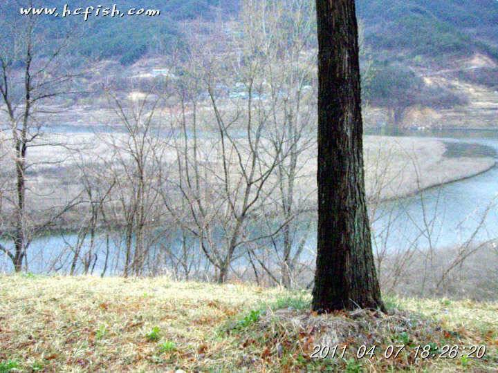 합천호 (조황조행기 - 특파원조황)