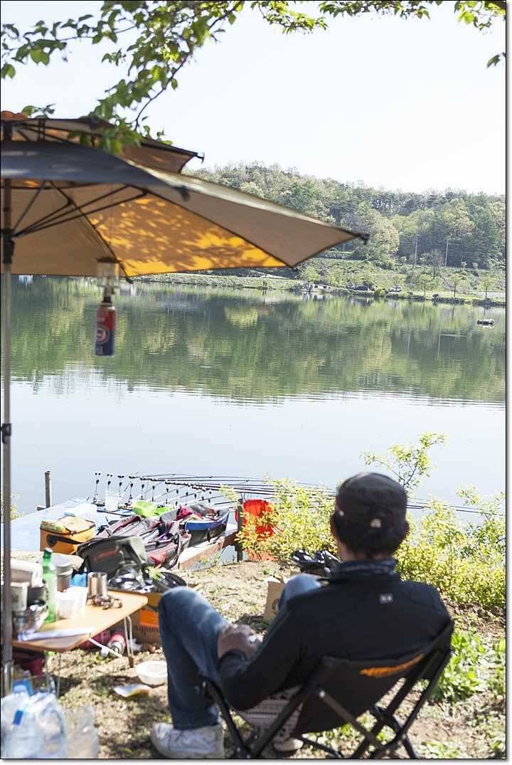 충주권 주말 조황 (조황조행기 - 특파원조황)