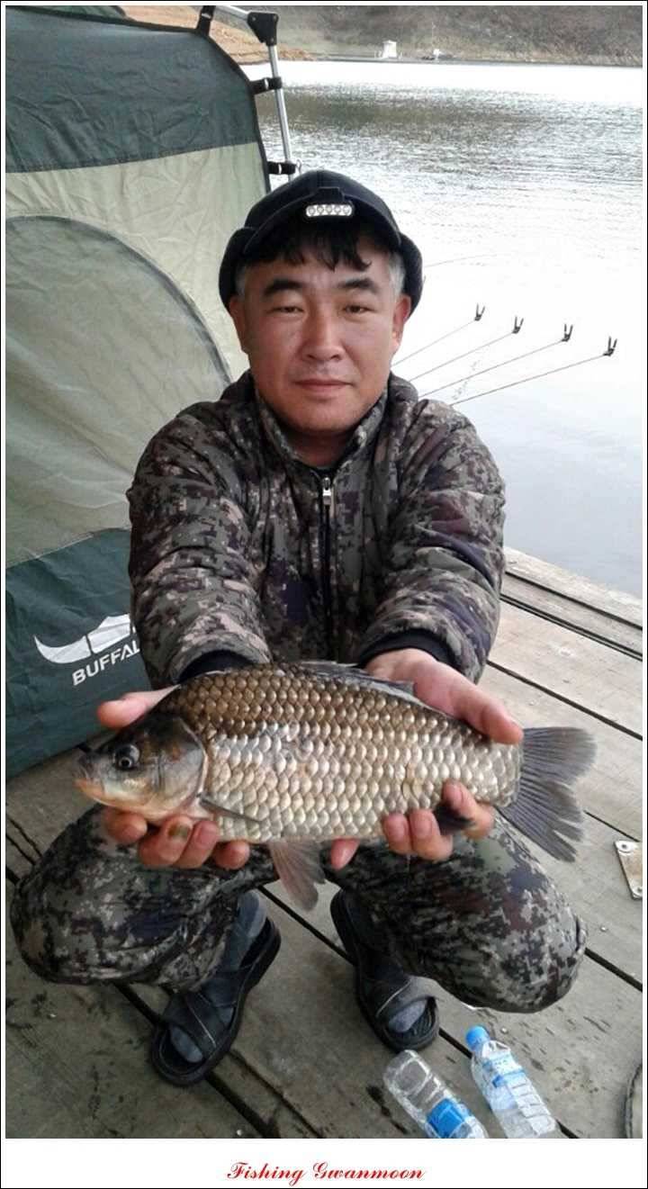 충주호 11 월 첫주 주말 조황 (조황조행기 - 특파원조황)