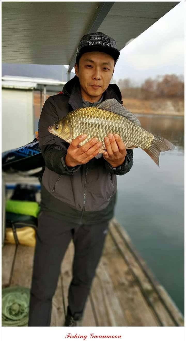 짱가네 435 cm425 cm 충주호 주말 조황 (조황조행기 - 특파원조황)