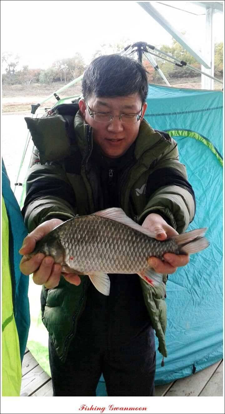 충주호 11 월 첫주 주말 조황 (조황조행기 - 특파원조황)
