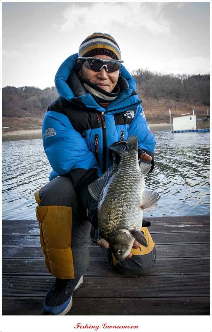 제일 43 cm 대물 (조황조행기 - 특파원조황)