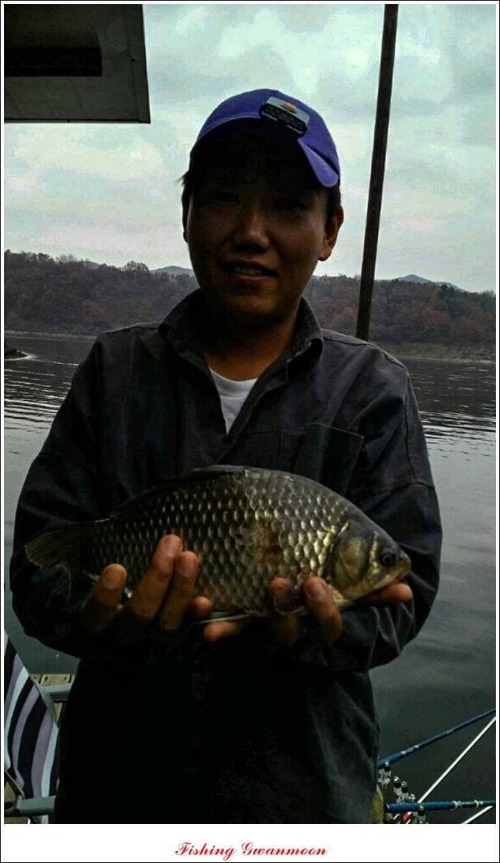 짱가네 435 cm425 cm 충주호 주말 조황 (조황조행기 - 특파원조황)