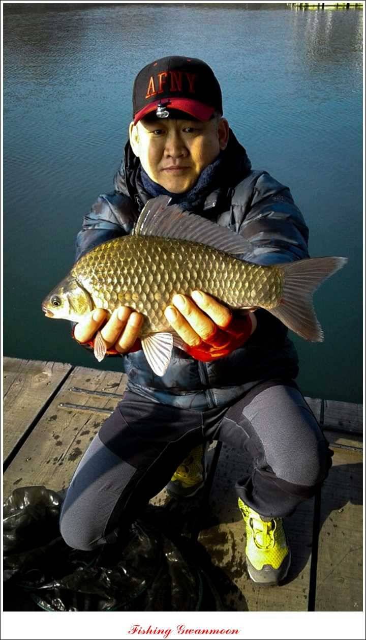 병호돌감한버들 월척 (조황조행기 - 특파원조황)