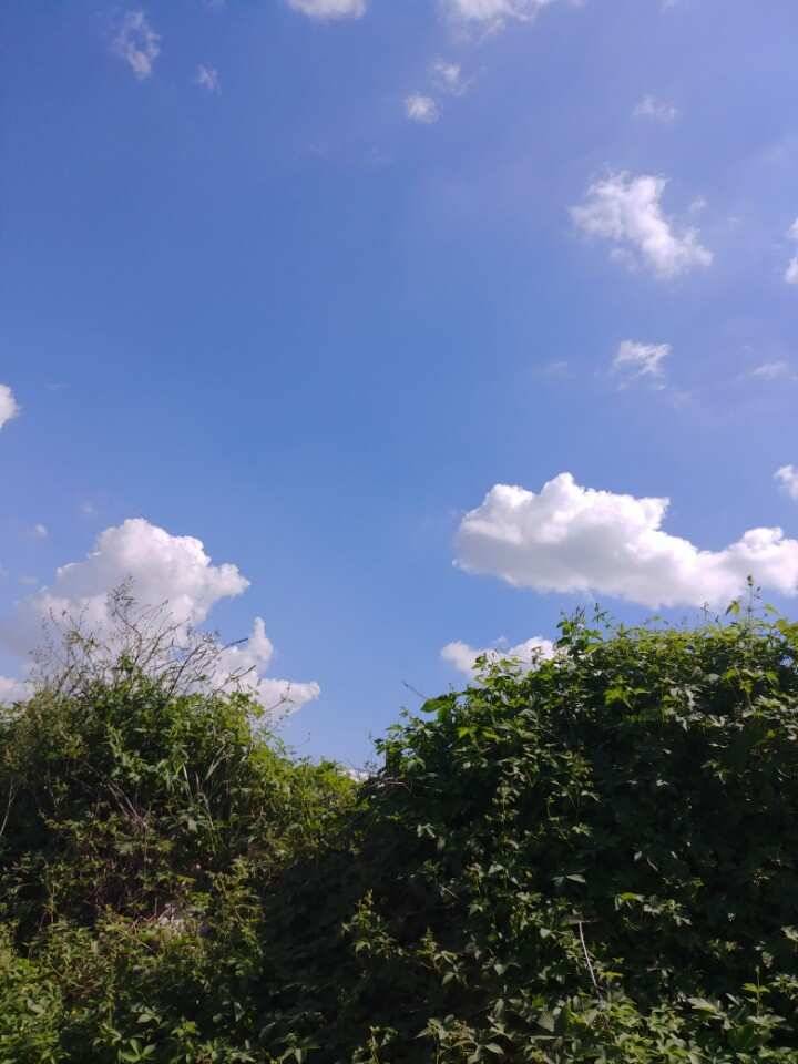 pro_johwang_15600_083600_73037.jpg