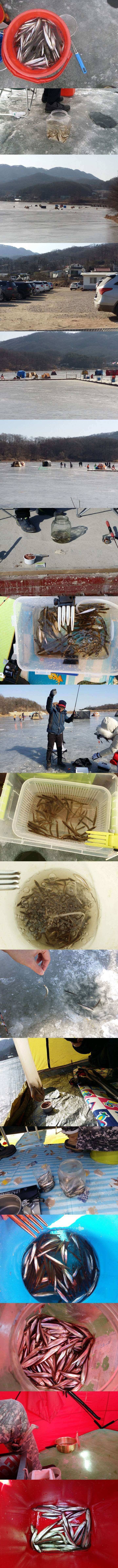두창지 수도권 빙어 1번지답네요 (조황조행기 - 특파원조황)