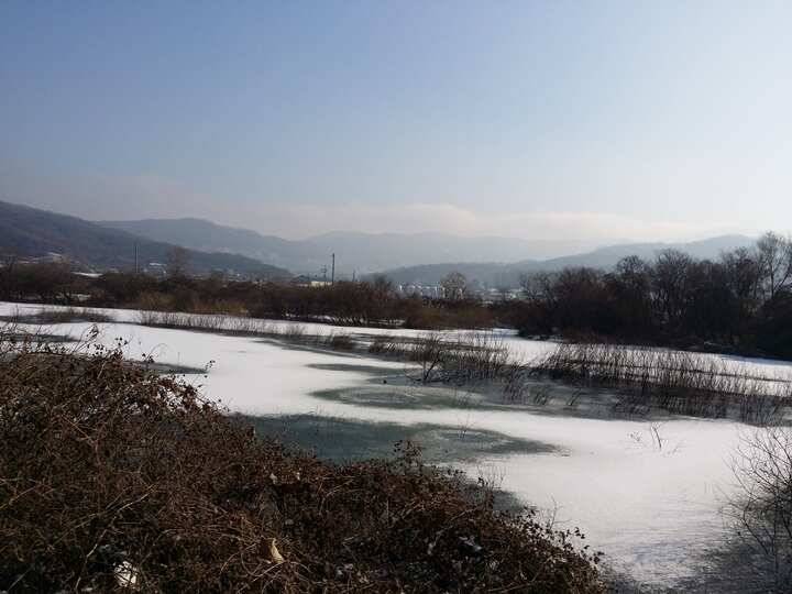 고삼지 결빙이 시작되었습니다 (조황조행기 - 특파원조황)