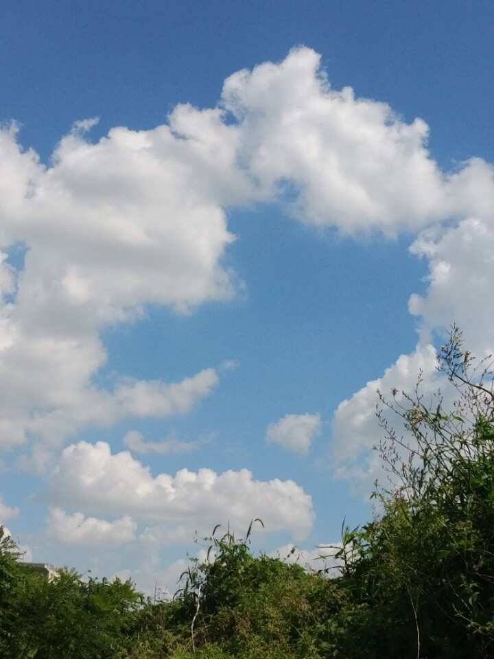 pro_johwang_799ba_083611_83276.jpg