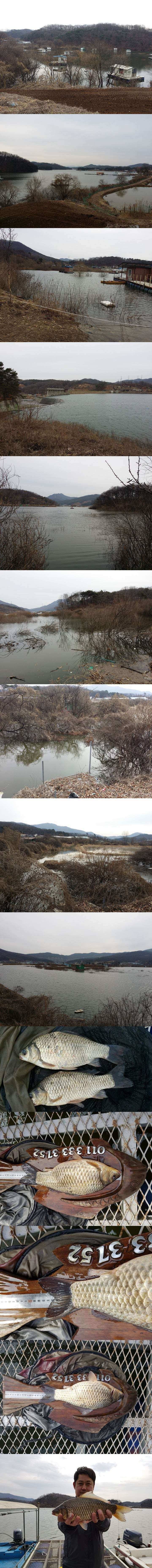 고삼지대물들이 슬슬 올라옵니다 (조황조행기 - 특파원조황)