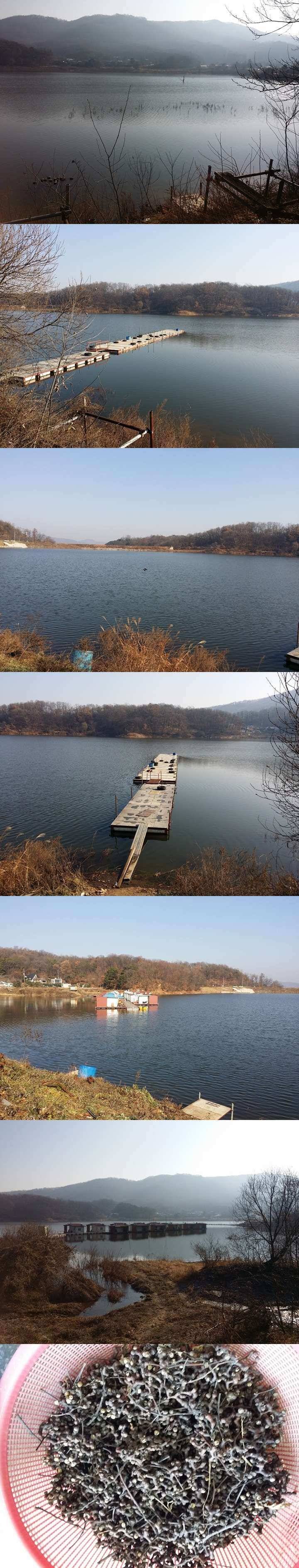 두창지 빙어 물낚시 시작합니다 (조황조행기 - 특파원조황)