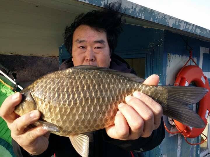 고삼지 조황입니다 (조황조행기 - 특파원조황)