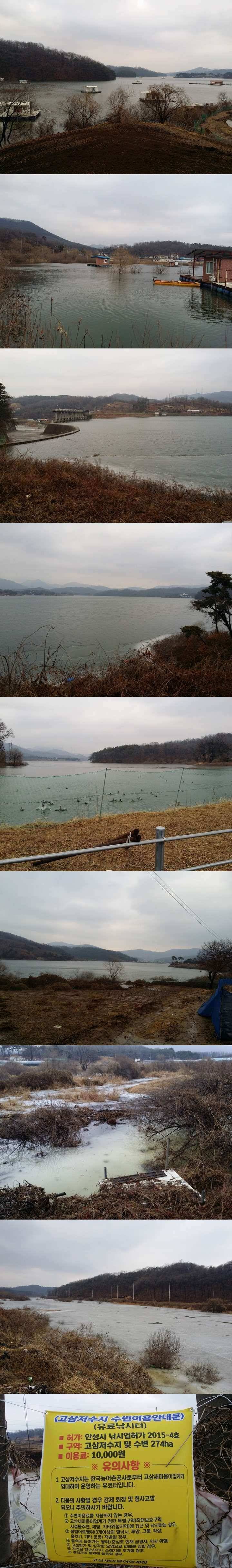 고삼지 수상좌대 배치중 (조황조행기 - 특파원조황)