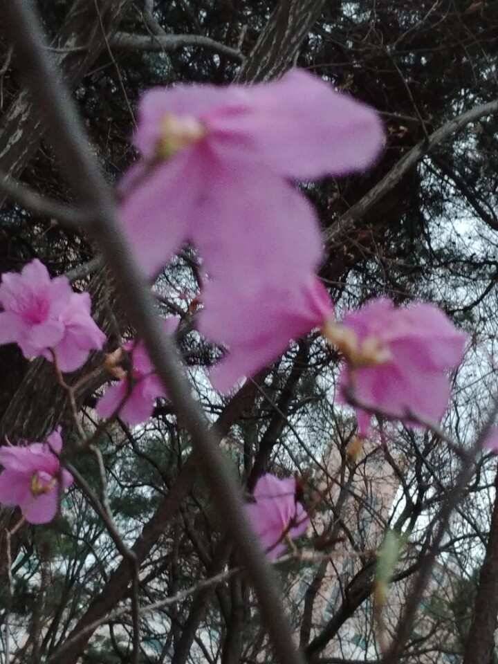 남양호평택호조황 (조황조행기 - 특파원조황)