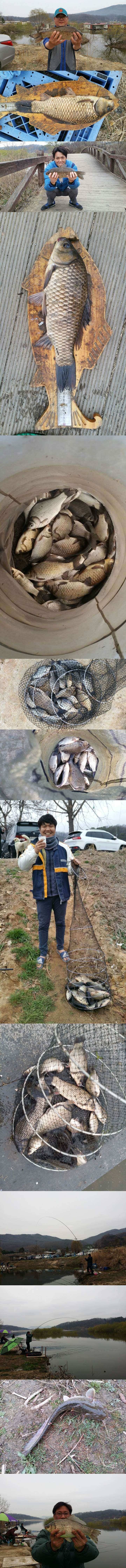 두창지 초보님들께 강추합니다 (조황조행기 - 특파원조황)