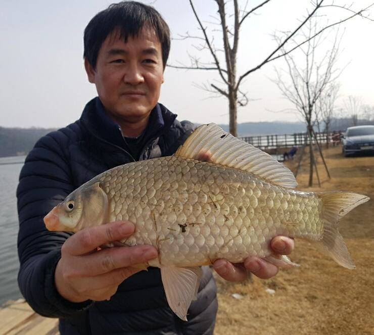 안흥수낚시 주변 낚시터들 조황 (조황조행기 - 특파원조황)