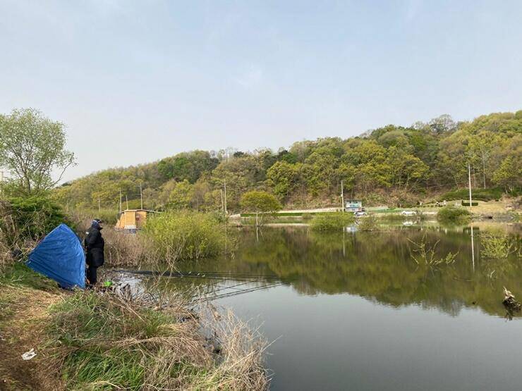 노지 혹부리 4짜고삼지 (조황조행기 - 특파원조황)