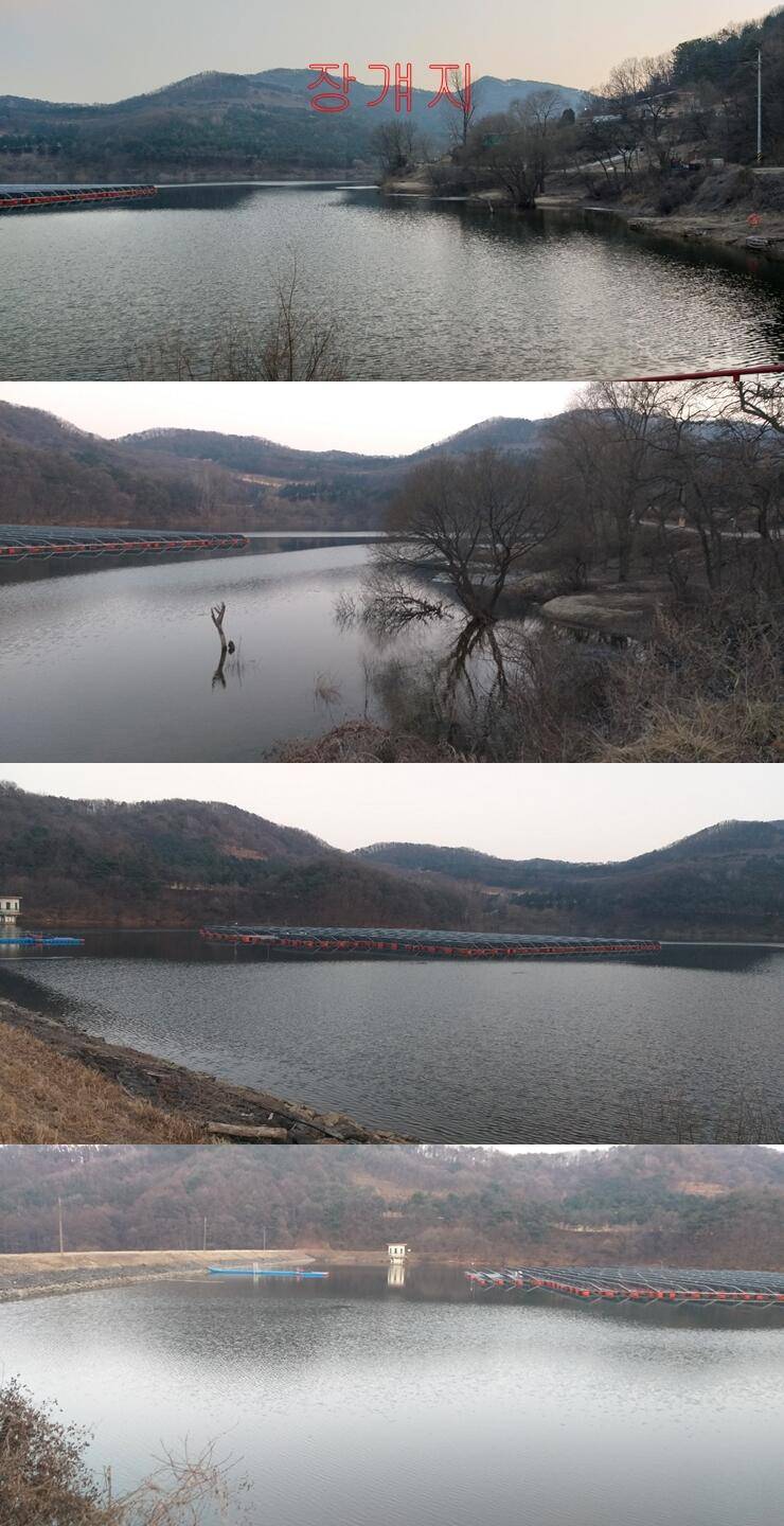 안흥수낚시 주변 낚시터들 조황 (조황조행기 - 특파원조황)