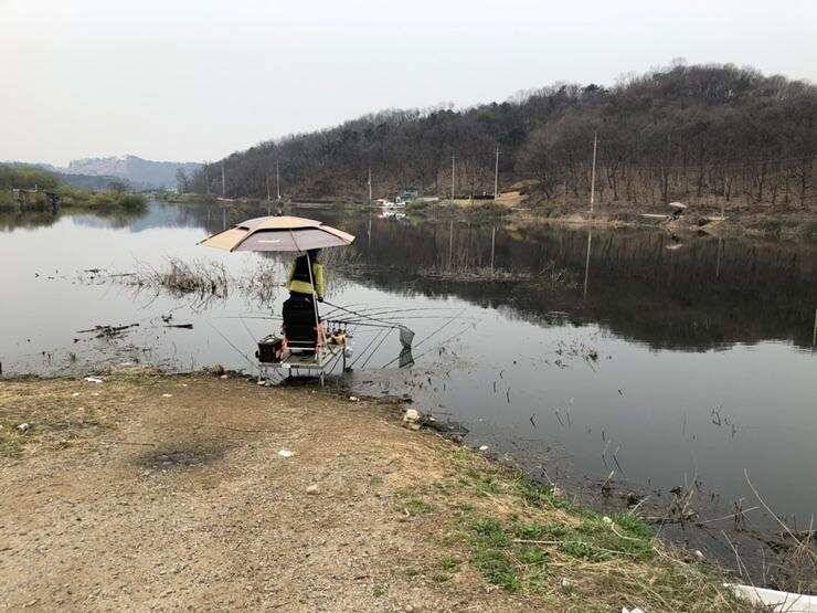 고삼지노지에서 43cm (조황조행기 - 특파원조황)