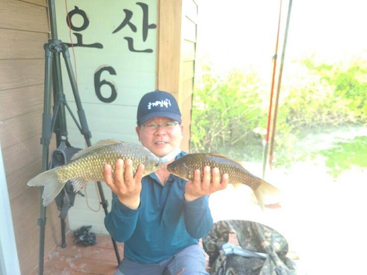 송전지4짜와 붕어들의 모습 (조황조행기 - 특파원조황)