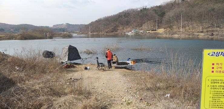 마릿수의 붕어들고삼지 (조황조행기 - 특파원조황)