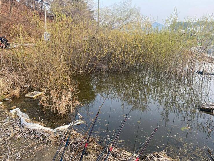 고삼지4짜들이 올라옵니다 (조황조행기 - 특파원조황)