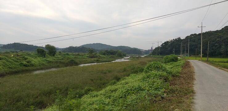 그림으로 보는 고삼지 (조황조행기 - 특파원조황)