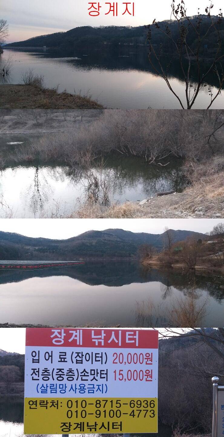 안흥수낚시 주변 낚시터 조황 (조황조행기 - 특파원조황)