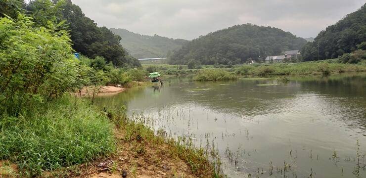 노지에서 대박이고삼지 (조황조행기 - 특파원조황)