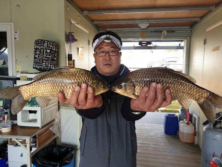 고삼지노지에서 43cm (조황조행기 - 특파원조황)