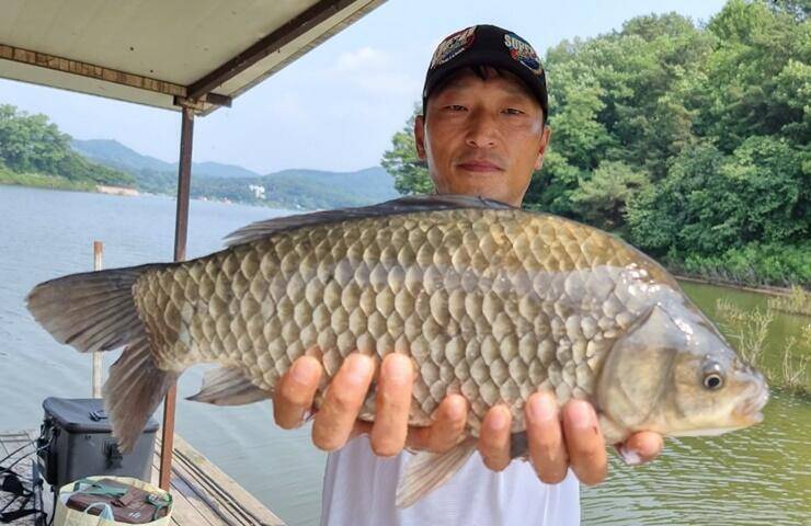 계속되는 호황의 모습고삼지 (조황조행기 - 특파원조황)