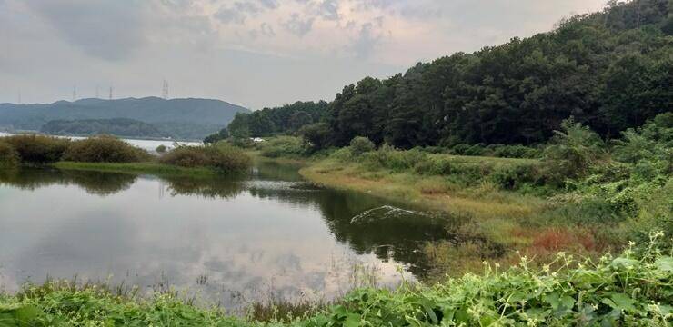 그림으로 보는 고삼지 (조황조행기 - 특파원조황)