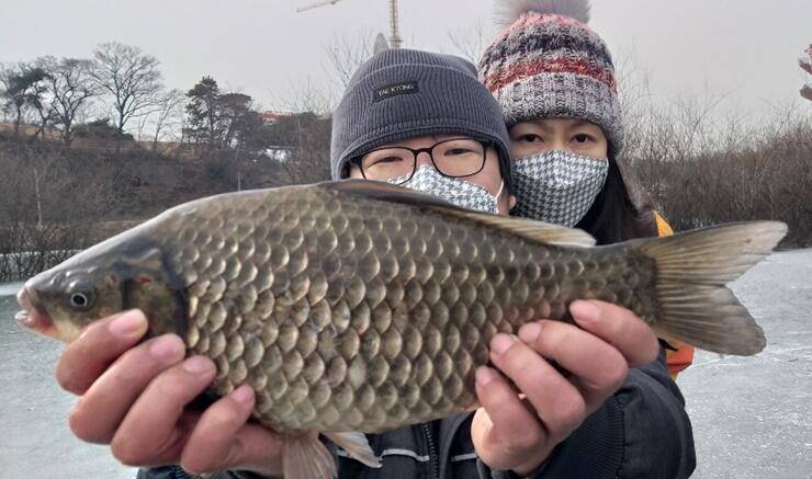 빵빵한 대물붕어고삼지 (조황조행기 - 특파원조황)