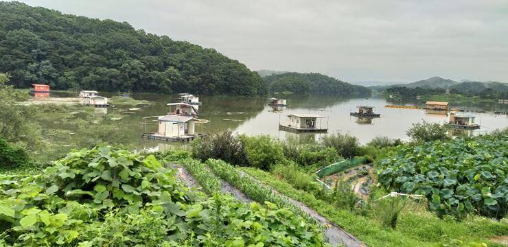 고삼지물폭탄 이후 모습 (조황조행기 - 특파원조황)