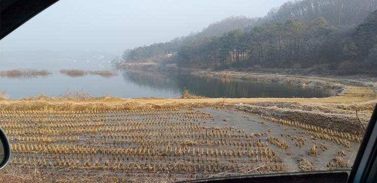 고삼지 물낚시 시작합니다 (조황조행기 - 특파원조황)