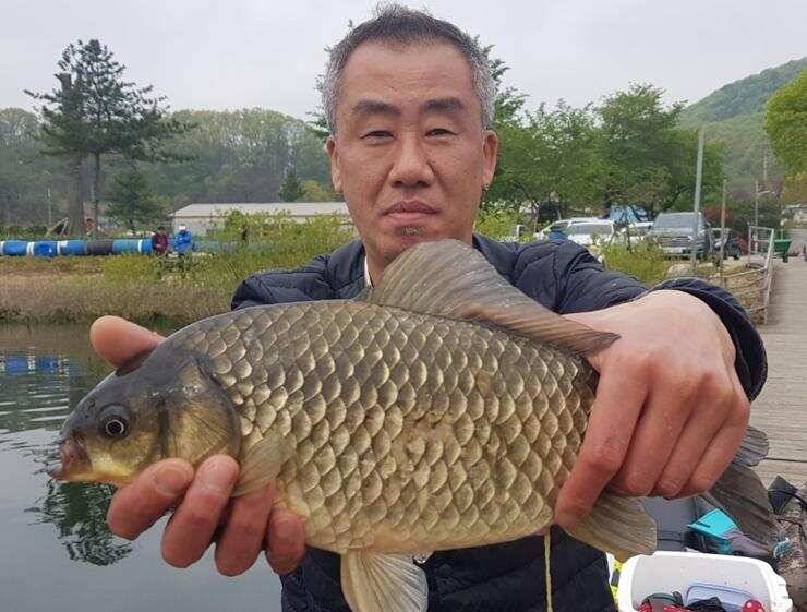 4짜들이 줄줄이고삼지 (조황조행기 - 특파원조황)