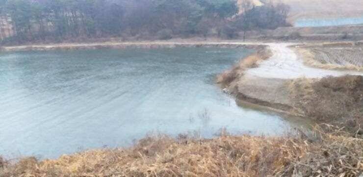 고삼지비내리는날 노지포인트 (조황조행기 - 특파원조황)