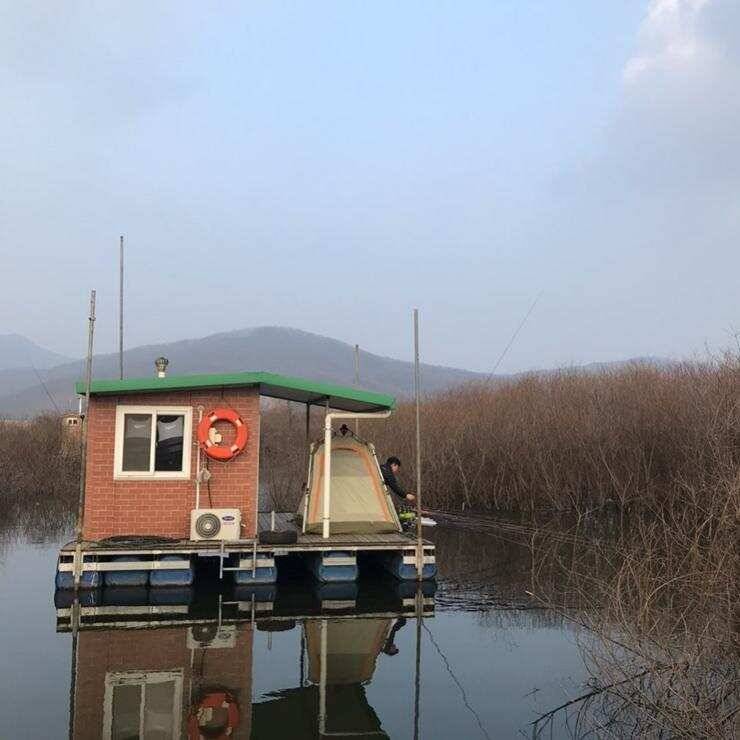 고삼지좋은 조황의 모습 (조황조행기 - 특파원조황)