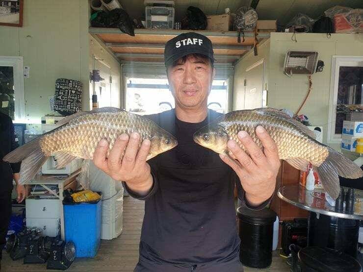 고삼지노지에서 43cm (조황조행기 - 특파원조황)