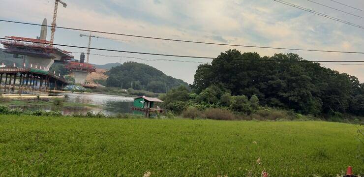 그림으로 보는 고삼지 (조황조행기 - 특파원조황)
