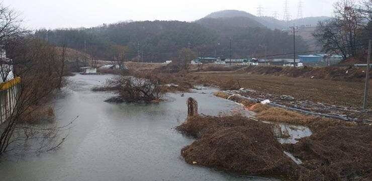 고삼지비내리는날 노지포인트 (조황조행기 - 특파원조황)