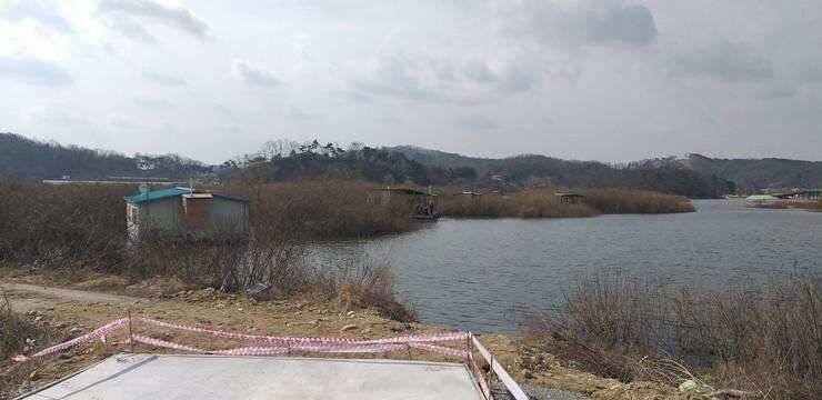 마릿수의 붕어들고삼지 (조황조행기 - 특파원조황)