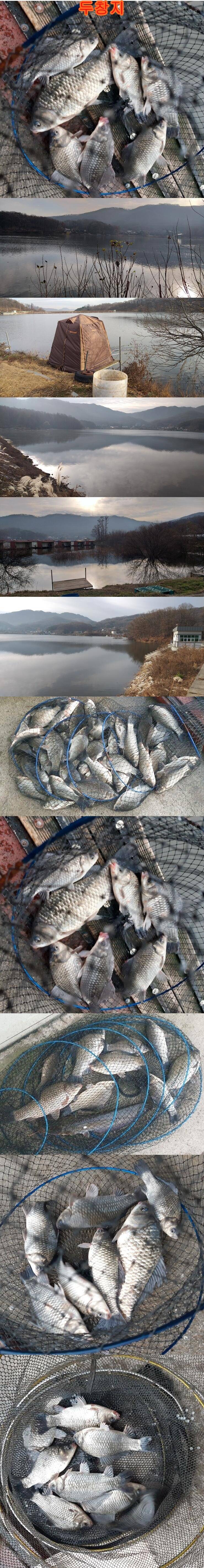 고삼두창사암지조황정보 (조황조행기 - 특파원조황)