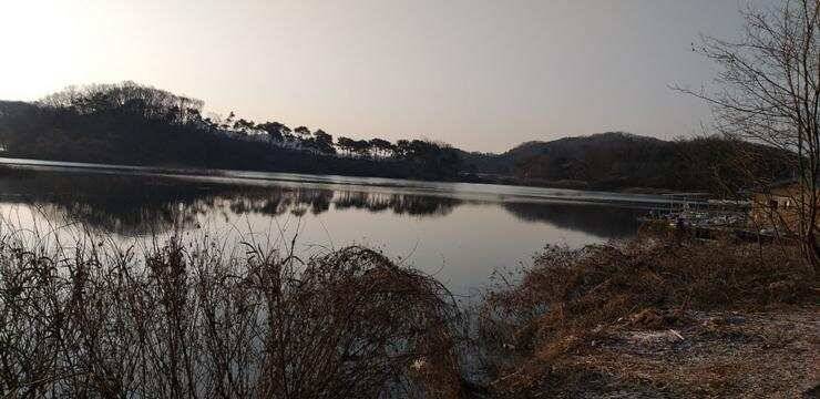 고삼지좋은 조황의 모습 (조황조행기 - 특파원조황)