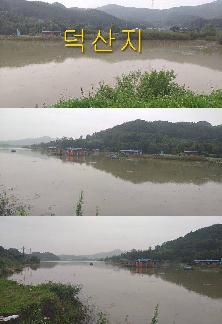 안흥수낚시 주변 낚시터 현황 (조황조행기 - 특파원조황)