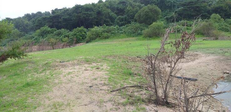 고삼지 수상좌대 조황과 노지포인트안내 (조황조행기 - 특파원조황)